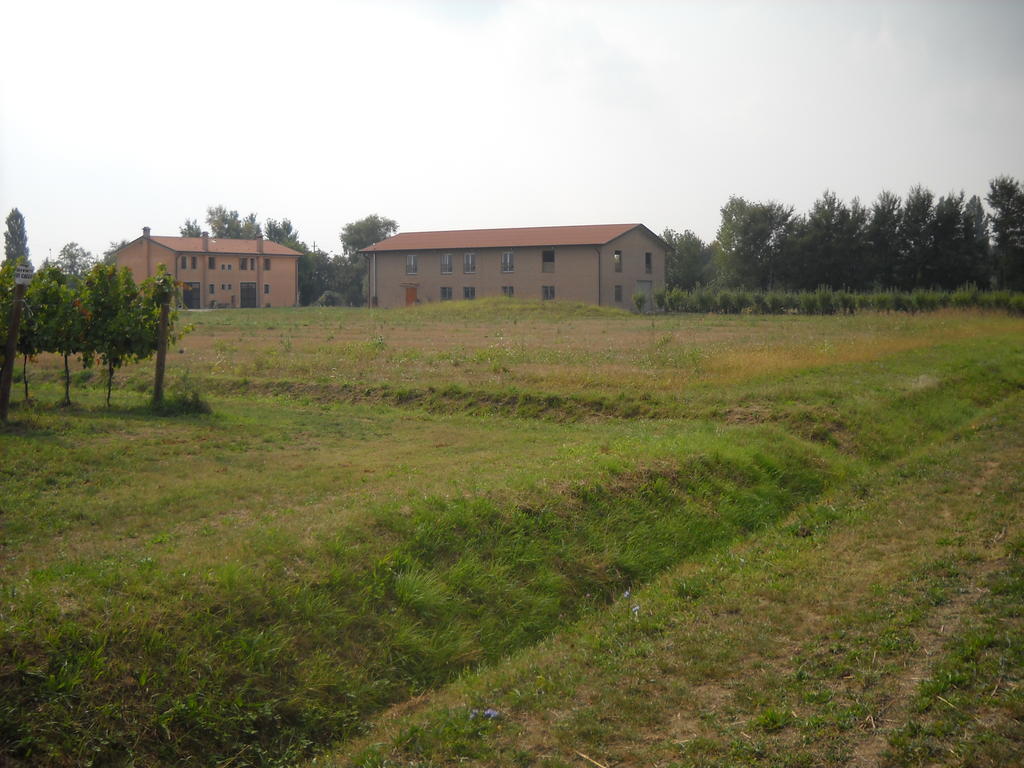 Agriturismo Campi Di Grano Roncade Bagian luar foto