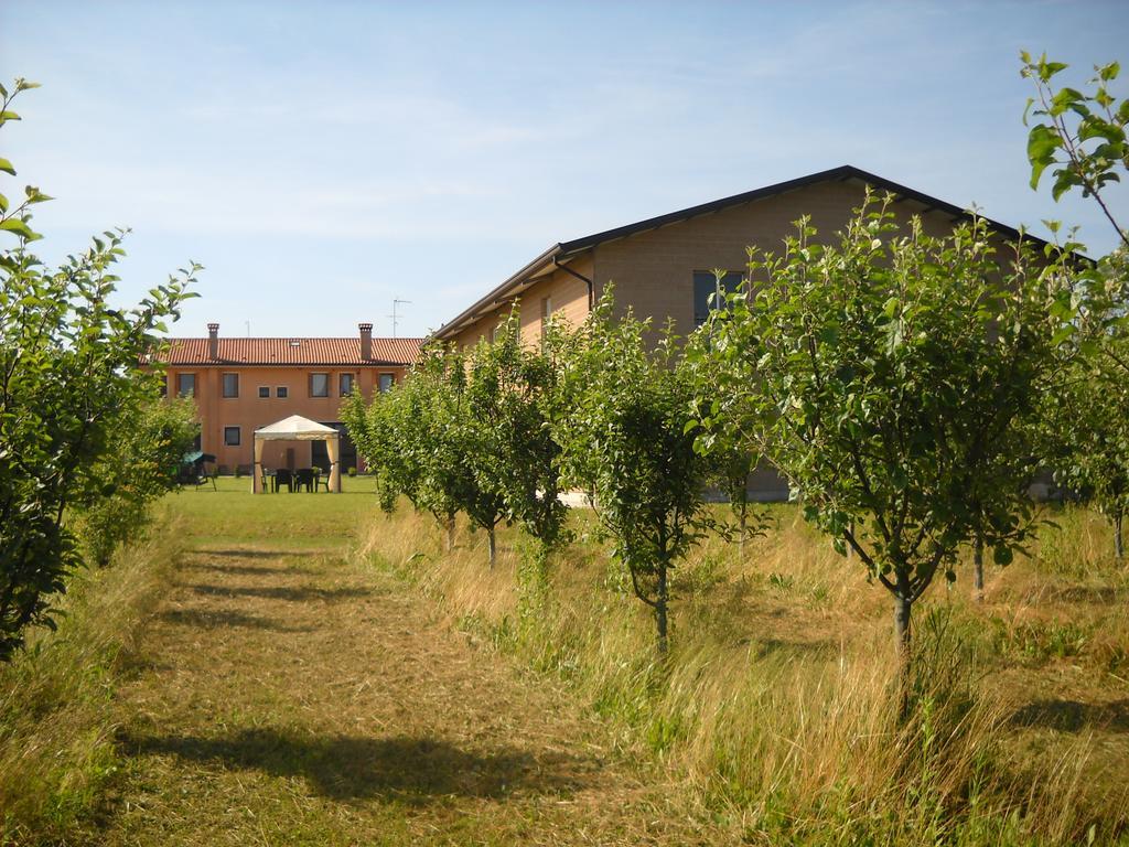 Agriturismo Campi Di Grano Roncade Bagian luar foto
